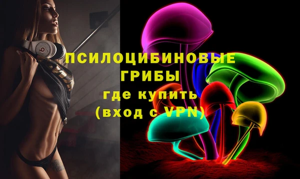 бошки Алзамай