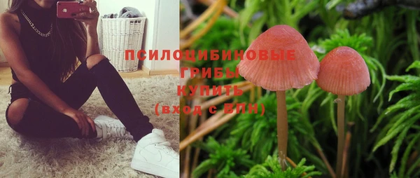 МДМА Алексеевка