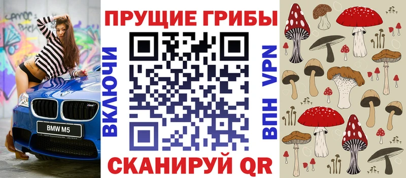 Псилоцибиновые грибы прущие грибы  продажа наркотиков  Цоци-Юрт 